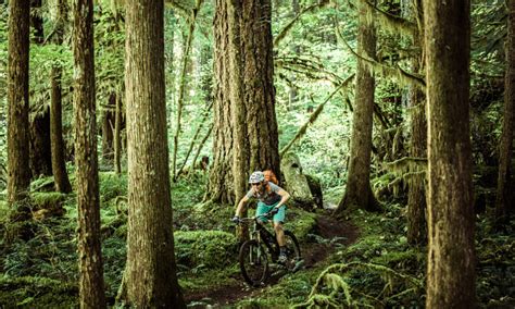 How To Explore The Willamette National Forest Travel Oregon