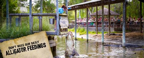 Alligator Adventure | Come Face to Face With Nature's Fiercest Animals