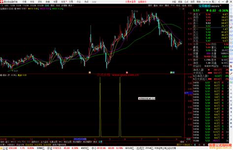 通达信亮针副图指标公式源码 通达信公式 公式网