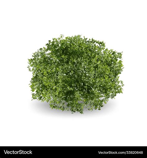 Realistic tree on white background eps10 Vector Image