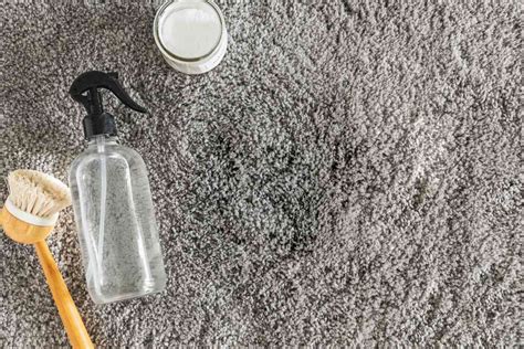 how to get dog pee odor out of carpet