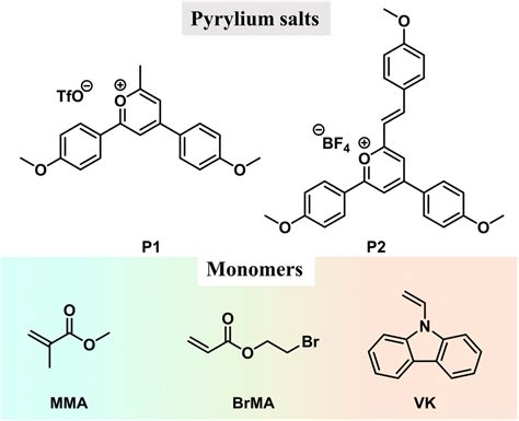 Mechanism Landscape In Pyrylium Induced Organic Afterglow Systems