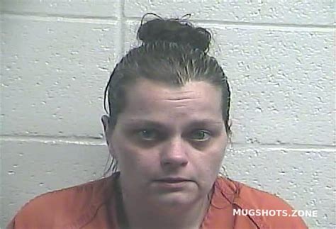 WILLOUGHBY LINDA 12 14 2022 Jessamine County Mugshots Zone