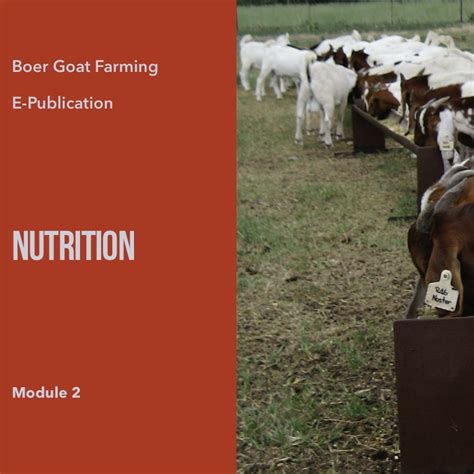 E Booklet Nutrition Boer Goats South Africa