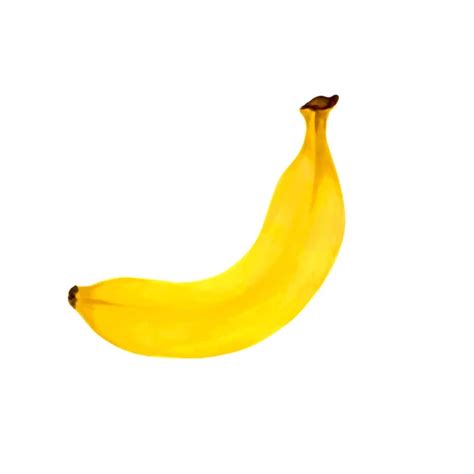 Banane Auf Wei Em Hintergrund Stock Vektorbilder Depositphotos