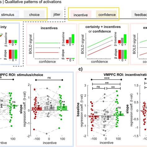 Activation In Ventromedial Prefrontal Cortex Across Models A Anatomical Download Scientific