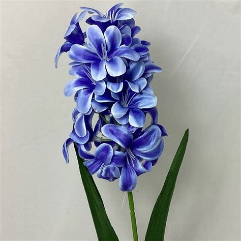 Single Hyacinth Blue Village Green