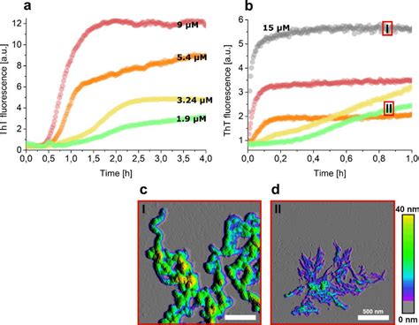 Aβ42 rapidly forms AβOs at endo lysosomal pH a b Aβ42 assembly at a