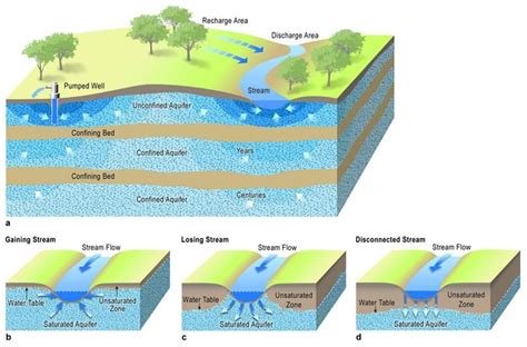 Diagram Of Water Table And Aquifer Water Table Aquifer Diagr