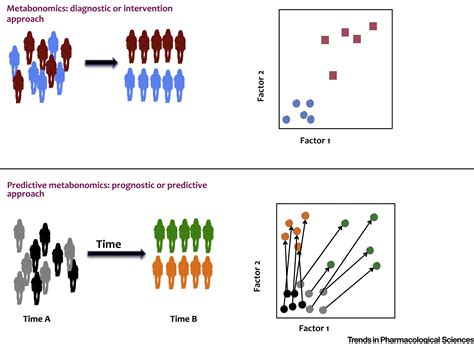 A Unified Conceptual Framework For Metabolic Phenotyping In Diagnosis