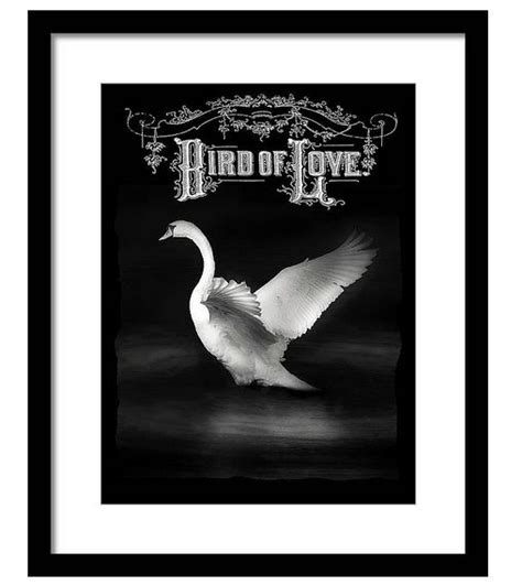 Rebecca Wang Art On Twitter Rt Moonwoodsshop Bird Of Love Swan