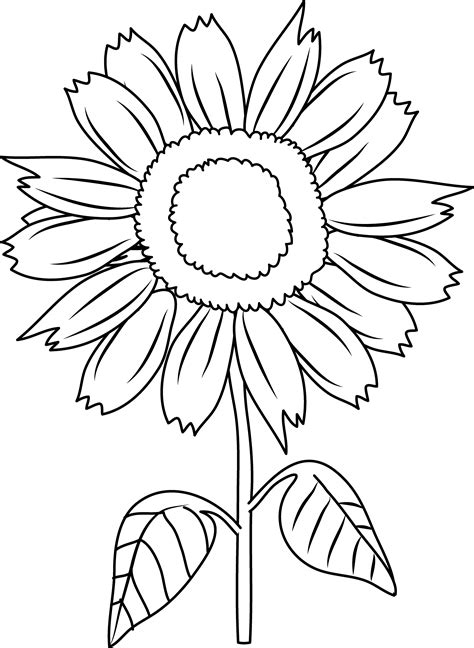 Pretty Sunflower Coloring Page - Free Clip Art