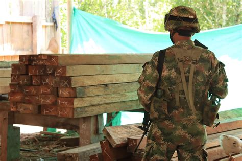 El Ej Rcito Incauta Madera En El Guaviare Guaviare Est Reo Fm