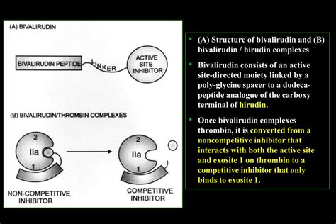 Ppt Antithrombin Iii Independent Anticoagulants Powerpoint