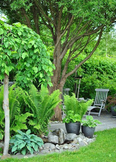 Creative Ideas To Organize Space Around Trees Digsdigs