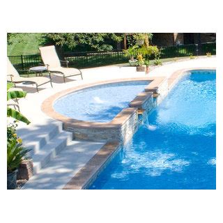 Trilogy Pools with Tanning Ledges Exótico Piscina Chicago de