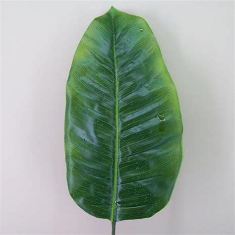 Artificial Banana Leaves With Raindrops Artificial Greenery