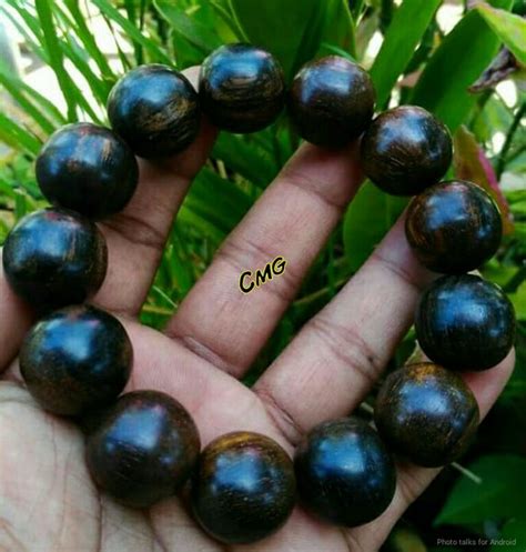 Jual Gelang Gaharu Buaya Super Grade A Ukuran 18 Mm Di Lapak CMG CRAFT