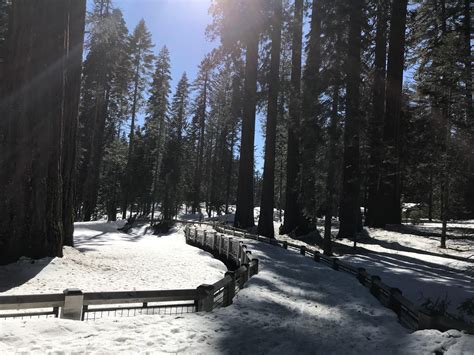 Best Mariposa Images On Pholder Pan Porn Star V Sthe Forcesof Evil And Earth Porn