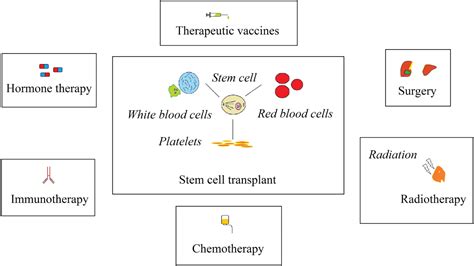 Passive And Active Targeting In Cancer Therapy By Liposomes And Lipid Nanoparticles