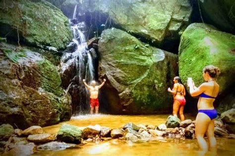 Tijuca Forest Hike | Discover mountains and forest in Rio