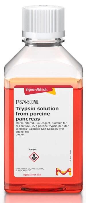 Trypsin Solution From Porcine Pancreas T Kolab