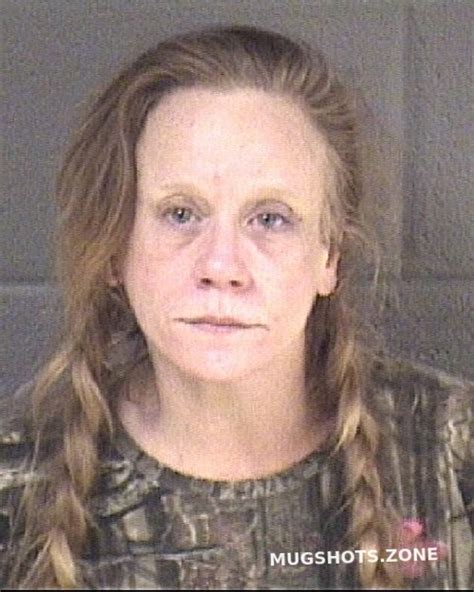 Gosnell Christina Buncombe County Mugshots Zone