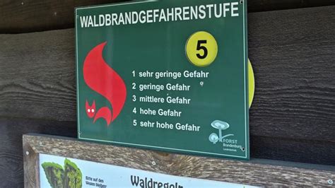 Trockenheit Hohe Bis Sehr Hohe Waldbrandgefahr In Brandenburg Und