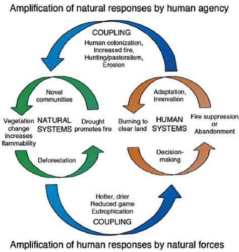 Coupled Human Environment Model Of The Andean Amazon Flank Showing The Download Scientific