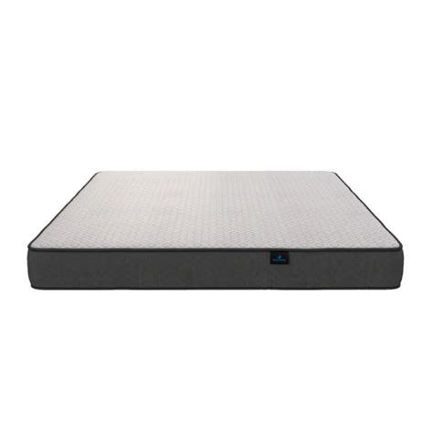 Nilkamal Arias Soft Dream 6 Inch Foam Mattress Nagar Bazaar