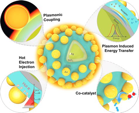 Schematic Of The Core−shell−satellite Plasmonic Photocatalyst And The