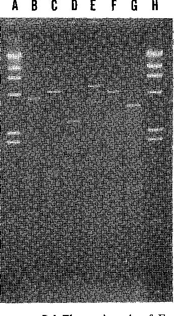 Figure 1 from Restriction Endonuclease Mapping of pUHl in Bacillus subtilis (natto) | Semantic ...