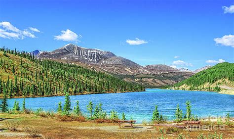 Liard Art For Sale Fine Art America