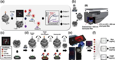 Tricorder Tech A Rapid And Inexpensive Paper Based Test For