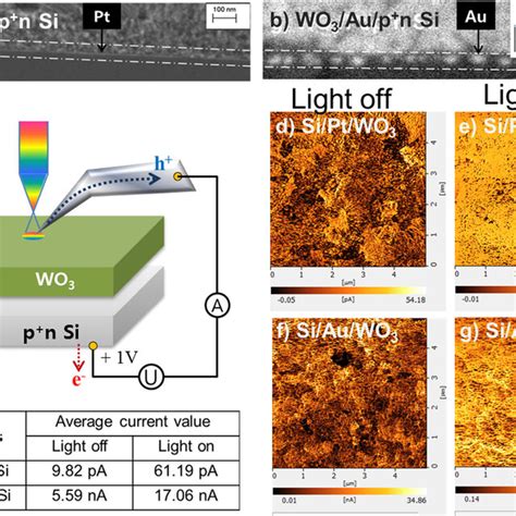 Cross Sectional FE SEM Images Of WO3 Coated Pn Si With A Pt And B