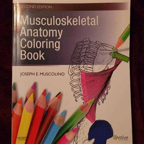 Other Musculoskeletal Anatomy Coloring Book Poshmark