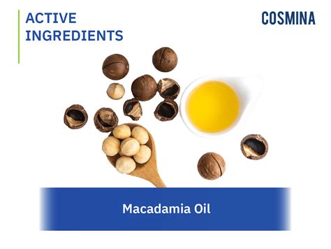 Macadamia Oil น้ำมันแมคคาเดเมีย - COSMINA