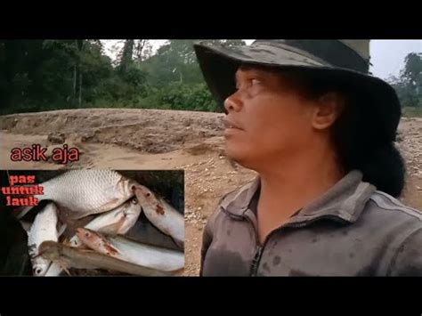 Berburu Ikan Tawes Di Sungai Sore Hari Youtube