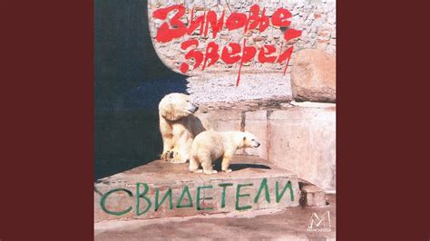 Дворники - YouTube