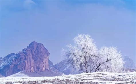 【图说新疆】新疆玛纳斯：皑皑白雪映碧空 骆驼漫步在山间 天山网 新疆新闻门户