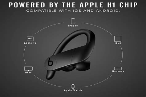 Unveiling Apples Beats Powerbeats Pro Tws Earbuds Asiauvsaa