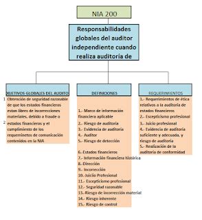 AUDITORIA MAPA CONCEPTUAL DE LA NIA 200