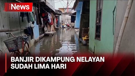 Banjir Rob Di Kampung Nelayan Akses Jalan Warga Terendam Youtube