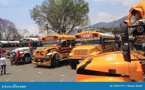 Colourful Chicken Buses In Antigua Guatemala City Stock Video Video