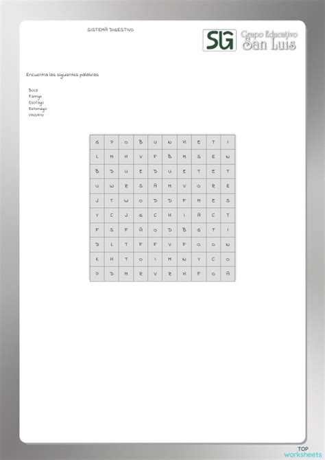 Sistema Digestivo Ficha Interactiva Topworksheets