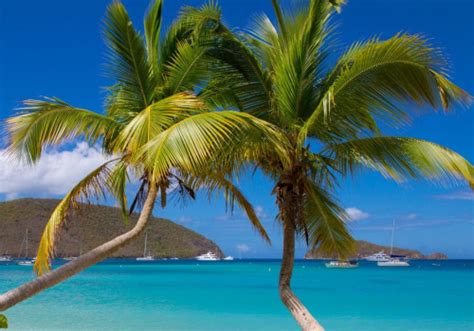 The Best Beaches In The Us Virgin Islands