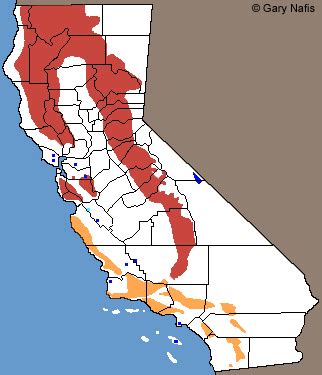 California Snakes Range Maps