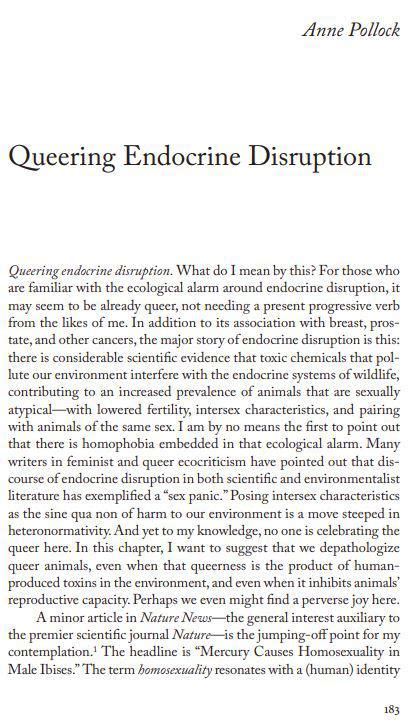 We Re Turning The Frickin Frogs Gay And That S A GOOD Thing R Redscarepod