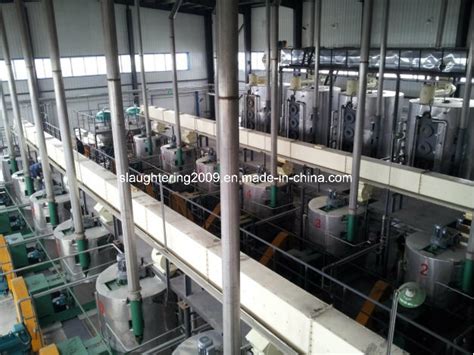 Edible Oil Crushing Pretreatment Prepressing Equipment Turn Key