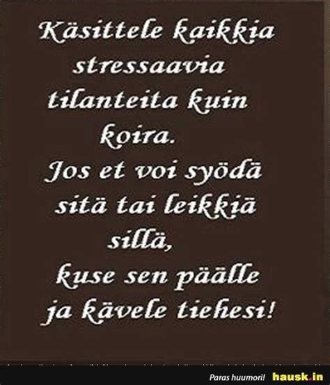 Pin By Carita Hakkarainen On Askartelu Feel Good Quotes Memes Quotes